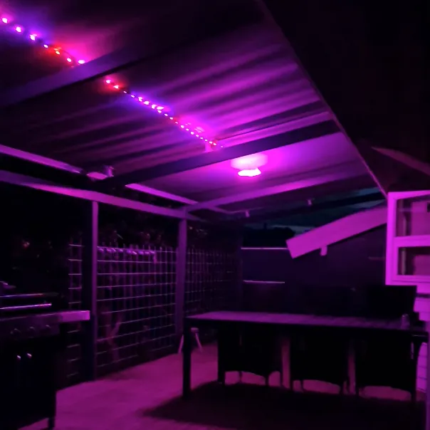 Basement bar in purple light
